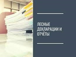 Лесные декларации и отчёты об использовании лесов подаются через портал Госуслуг.